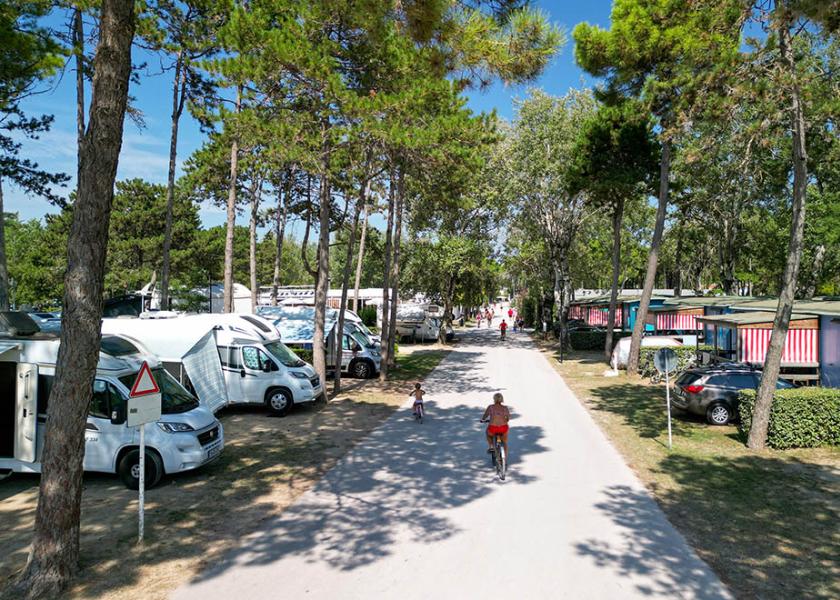 Sommercamping: Wohnwagen, Fahrräder und Natur unter blauem Himmel.